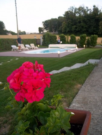 ~Géranium + piscine ~